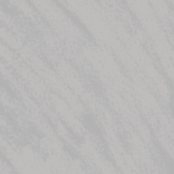 Dannie the Dalmatian Headshot